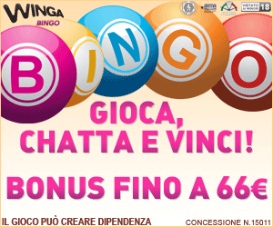 bingo on line
